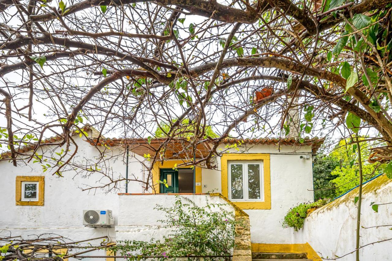 Quinta Do Boicao Villa ลิสบอน ภายนอก รูปภาพ
