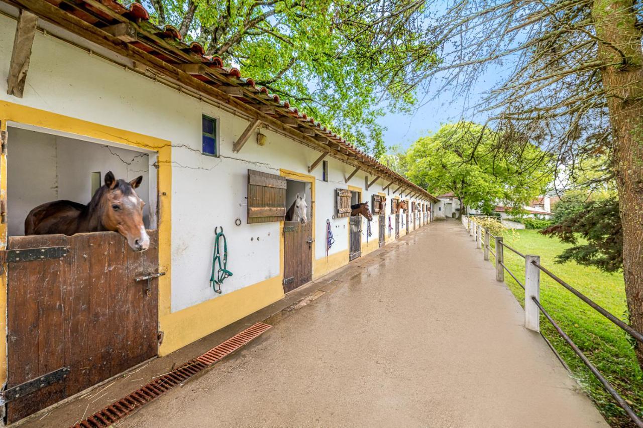 Quinta Do Boicao Villa ลิสบอน ภายนอก รูปภาพ