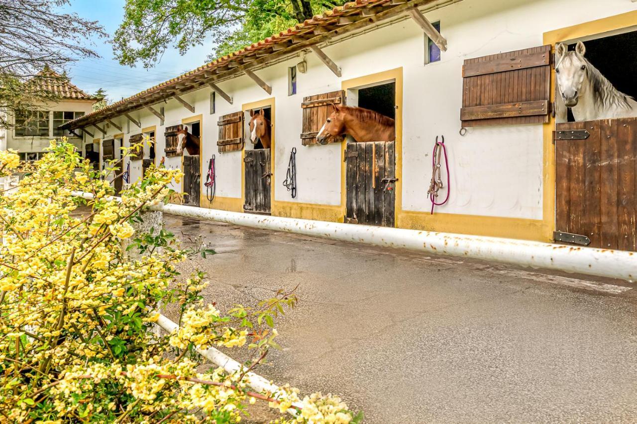 Quinta Do Boicao Villa ลิสบอน ภายนอก รูปภาพ